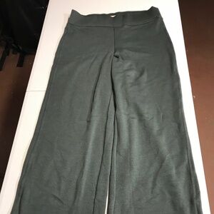 NWOT Lands End Serious Sweats Pants Med/Petite 10-12 Green Pocket Fleece-Lined